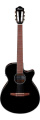 Электроакустическая гитара IBANEZ AEG50N-BKH