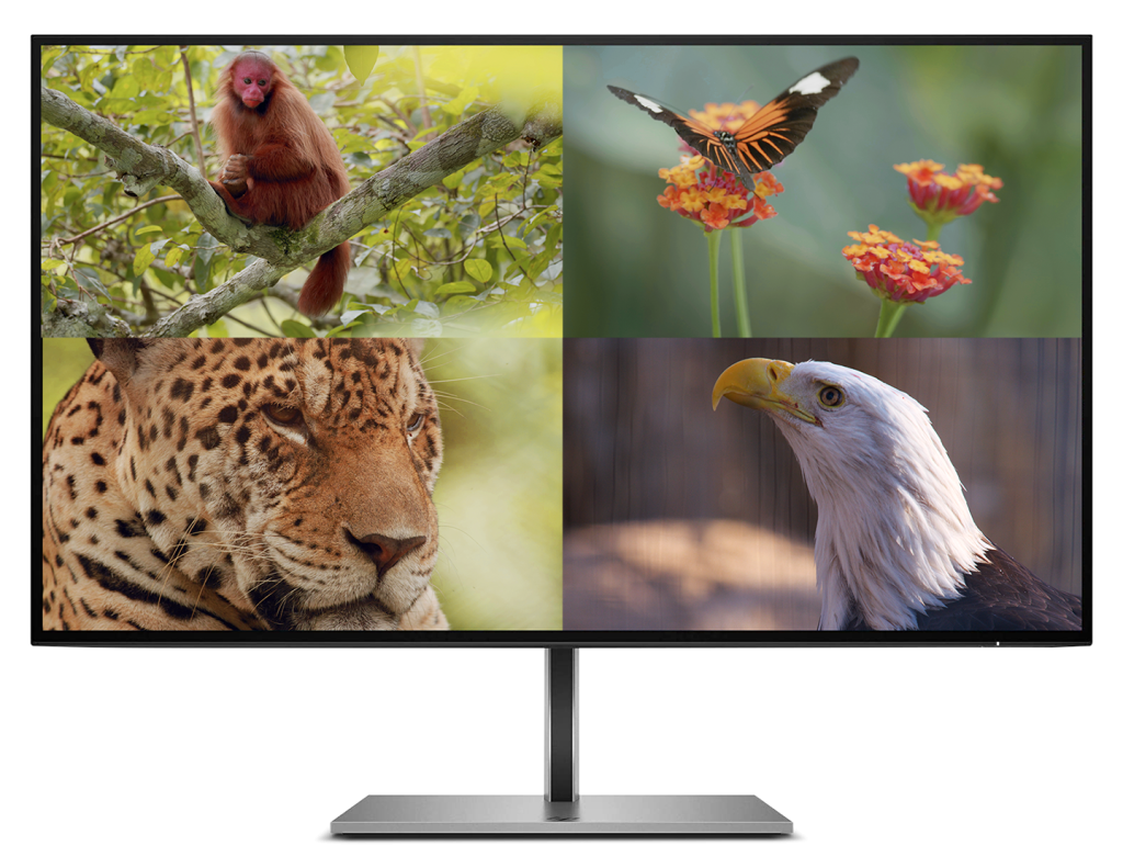 5553-quad_multiview_monitor_1440px.png