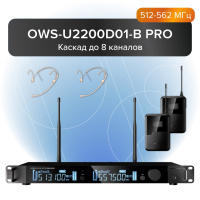 Двухканальная цифровая радиосистема Октава OWS-U2200D