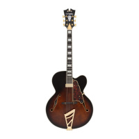 Полуакустическая гитара D'Angelico Premier EXL-1 Brown Burst