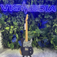 Электрогитара Fender Brad Paisley Esquire