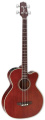 Электроакустическая гитара Takamine PB5 ANS