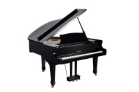 Цифровой рояль Medeli GP805 Цифровой рояль Medeli GP805