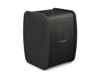 Активная трансляционная акустика CVGaudio TONE-POINT model A/BL
