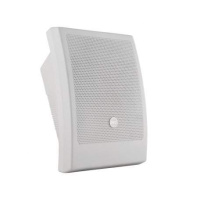 Настенная акустика CVGaudio WPA10T Настенная акустика CVGaudio WPA10T