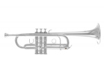 Труба ROY BENSON TR-402CS