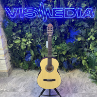 Классическая гитара Parkwood PC90-WBAG-OP Классическая гитара Parkwood PC90-WBAG-OP