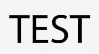 Тест