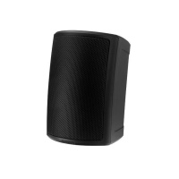 Настенная акустика Tannoy AMS 5ICT (black) Настенная акустика Tannoy AMS 5ICT (black)