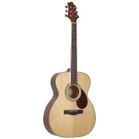 Акустическая гитара GREG BENNETT OM5 Акустическая гитара GREG BENNETT OM5