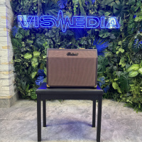 Комбоусилитель для акустической гитары Belcat Acoustic-25RC