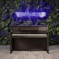 Цифровое фортепиано Roland LX-5-DR