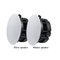 Встраиваемая акустика DSPPA DW-2235