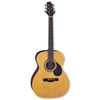 Акустическая гитара GREG BENNETT OM2 Акустическая гитара GREG BENNETT OM2