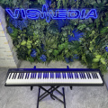 Цифровое пианино Roland FP-10-BK