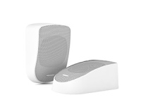 Настенная акустика CVGAUDIO WPL6TW Настенная акустика CVGAUDIO WPL6TW