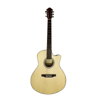 Акустическая гитара Парма GА-01