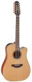 Электроакустическая гитара TAKAMINE PRO SERIES 3 P3DC-12