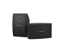 Настенная акустика CVGAUDIO AXE5:8BL Настенная акустика CVGAUDIO AXE5:8BL