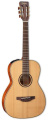 Электроакустическая гитара Takamine CP400NYK