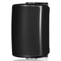 Настенная акустика Tannoy AMS 5DC (black) Настенная акустика Tannoy AMS 5DC (black)