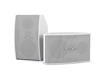 Настенная акустика CVGAUDIO AXE6:3:4W