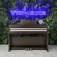 Цифровое пианино Beisite B-808 Pro BN