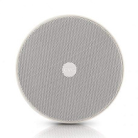 Настенная акустика CVGaudio SPC5T (звуковой прожектор) Настенная акустика CVGaudio SPC5T (звуковой прожектор)