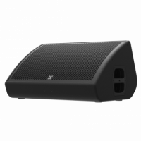 Пассивный сценический монитор Moose M15