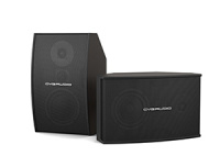 Настенная акустика CVGAUDIO AXE6:3:4BL