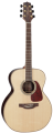 Акустическая гитара Takamine G90 SERIES GN93
