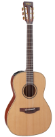 Электроакустическая гитара TAKAMINE PRO SERIES 3 P3NY Электроакустическая гитара TAKAMINE PRO SERIES 3 P3NY