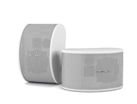 Настенная акустика CVGAUDIO NUT5:8W