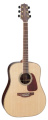 Акустическая гитара Takamine G90 SERIES GD93