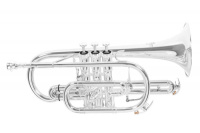Корнет ROY BENSON CR-302S Корнет ROY BENSON CR-302S