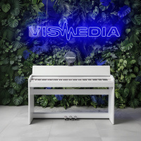 Цифровое пианино Antares W-290 WH