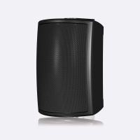 Настенная акустика Tannoy AMS 8DC (black) Настенная акустика Tannoy AMS 8DC (black)