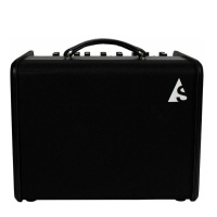 Комбоусилитель для акустической гитары Godin Acoustic Solutions ASG-8 120 Black