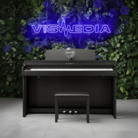 Цифровое пианино Kawai CN301B