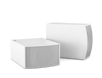 Пассивный сабвуфер CVGaudio C-6W/CR/T