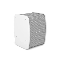 Активная трансляционная акустика CVGAUDIO TONE-POINT model A/W