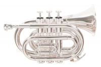 Труба ROY BENSON PT-101S Bb Труба ROY BENSON PT-101S Bb