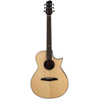 Акустическая гитара ALTAMIRA MPro-1