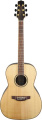 Акустическая гитара Takamine G90 SERIES GY93