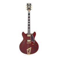 Электрогитара полуакустическая D'Angelico Excel DC Viola