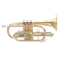 Корнет ROY BENSON CR-202 
