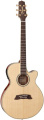 Электроакустическая гитара Takamine TSP138CN