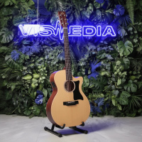 Электроакустическая гитара Sigma GMC-STE