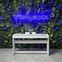 Цифровое фортепиано Ringway RP-35, White