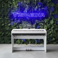 Цифровое фортепиано Antares D-380 W